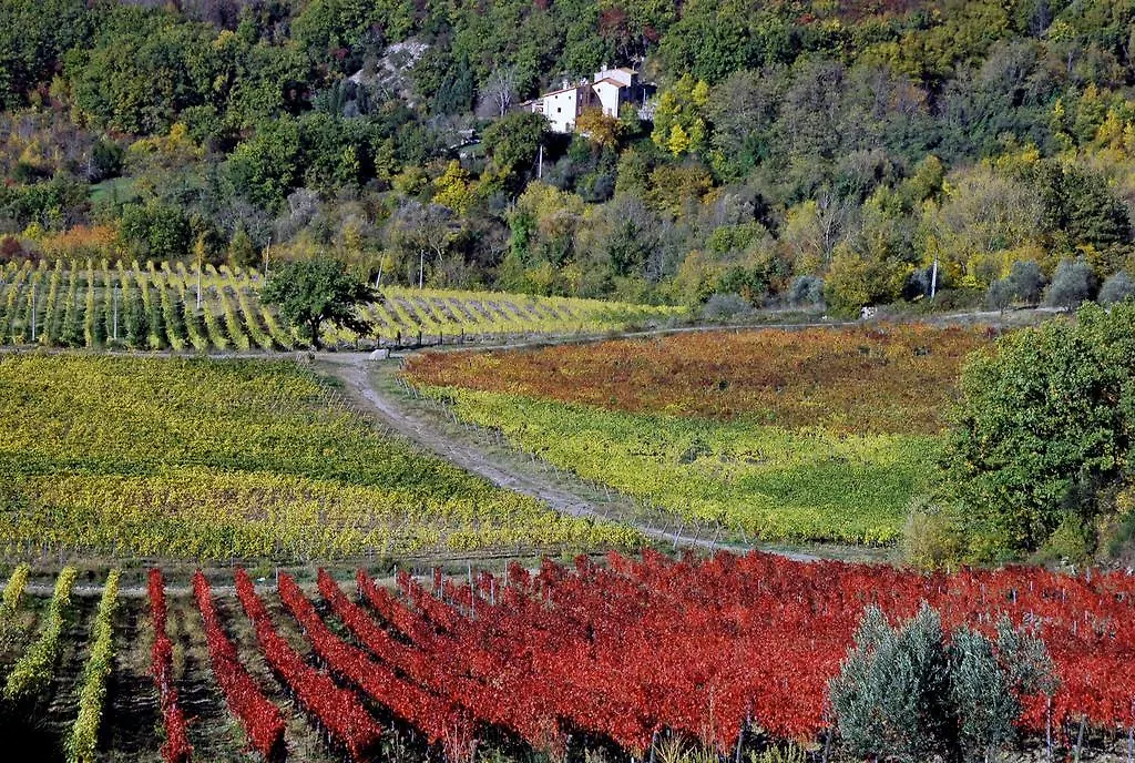 Farm stay Castello Del Trebbio Villa L'Opaco